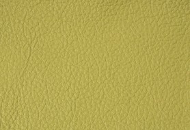 214 pistachio madras