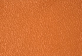 218 terra madras