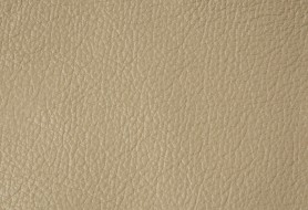 240 elefant madras